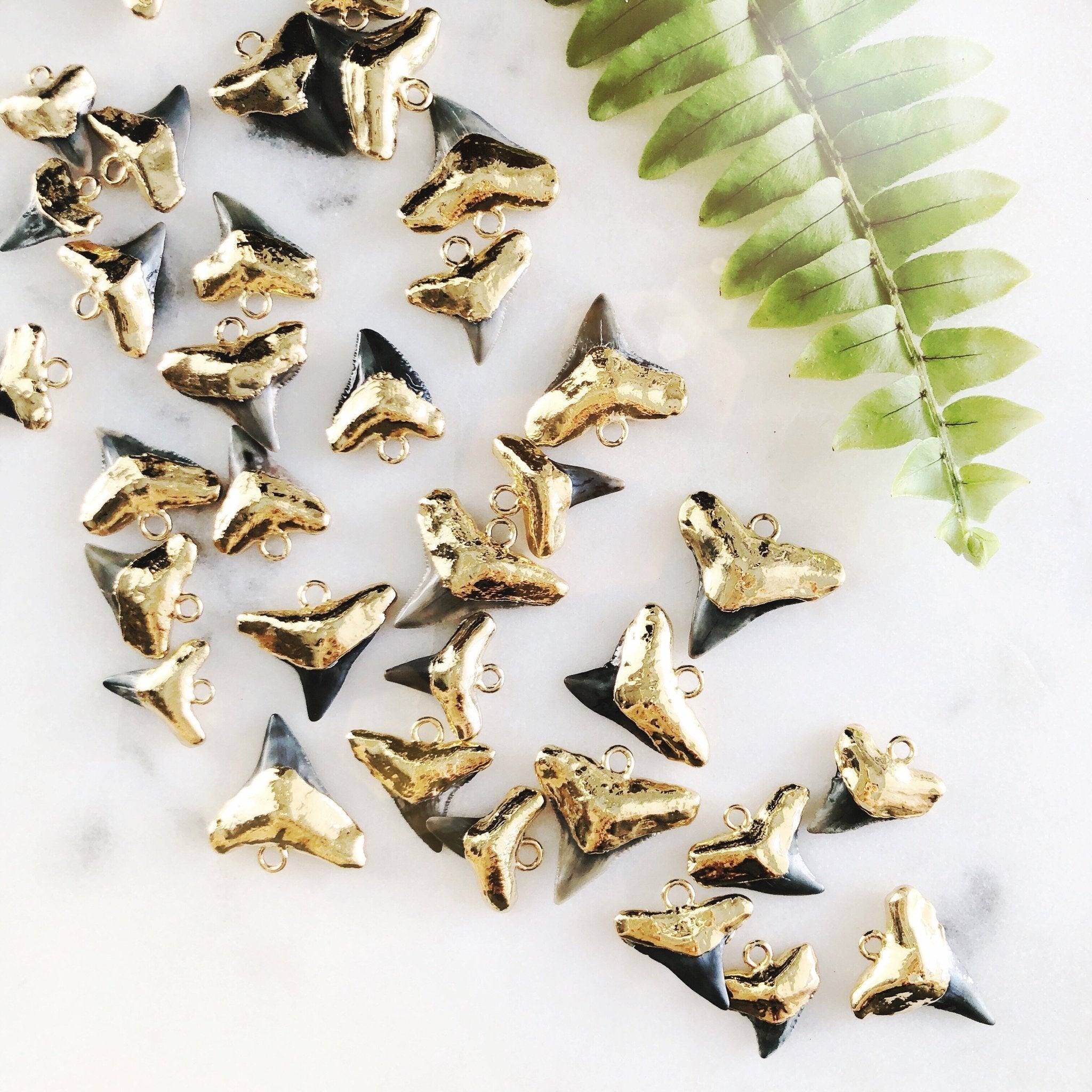 Black Gold Dipped Shark Tooth Necklace – Mano Niho Kahi | 18kt Gold Handmade in Maui - Triniskies