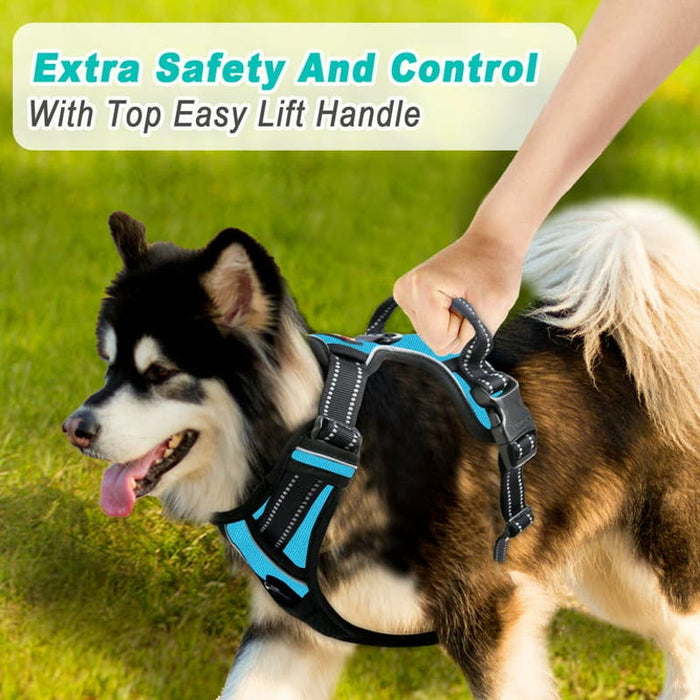 No Pull BARKBAY Dog Harness * Medium Size for Adventures and Walks SZ Medium