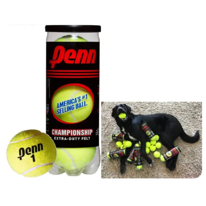 Penn Championship Extra-Duty Felt Tennis Balls 1 Can (3 Balls) US Shipper