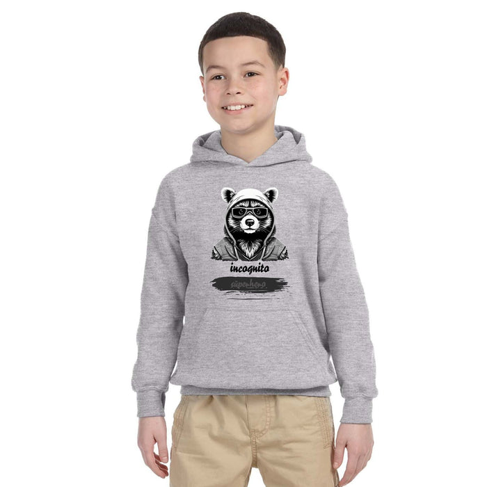 Unleash the Hero Within: Youth Incognito Superhero Hoodie in Black and Gray