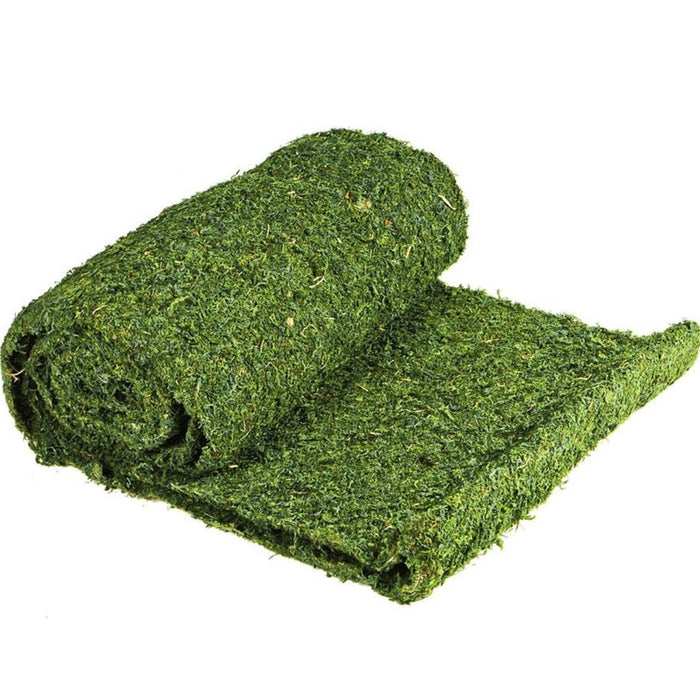 SuperMoss (22396 InstantGreen Moss Mat, Fresh Green, 3ft x 50ft