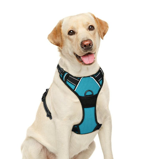 Barkbay Medium / Blue No Pull BARKBAY Dog Harness * Medium Size for Adventures and Walks SZ Medium