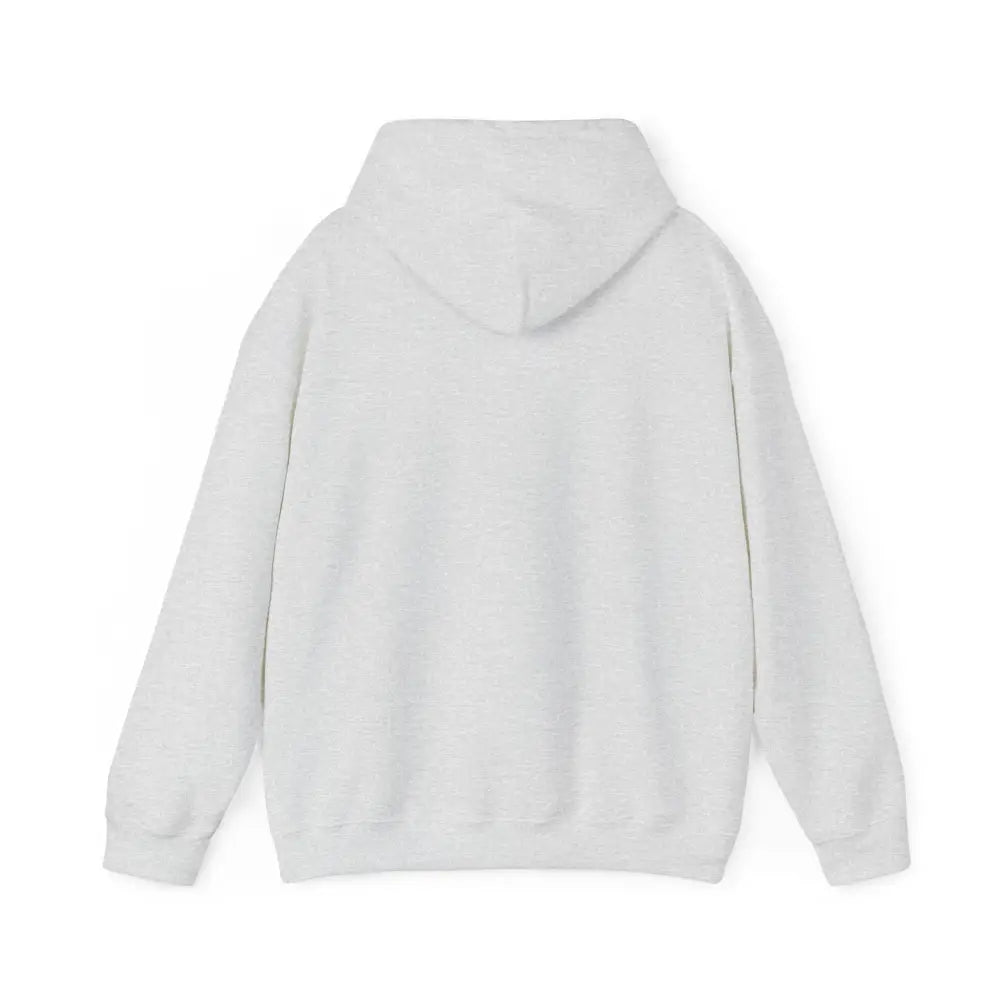 Bora Bora unisex light gray fleece hoodie with Trini Skies graphic