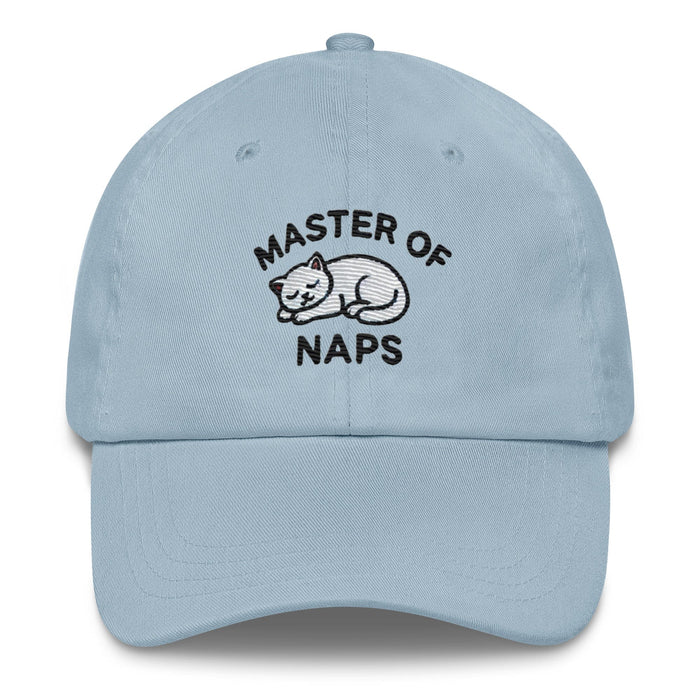 Embroidered Cat Hat Master of Naps Funny Humor Dad hat