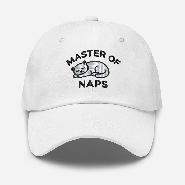 Embroidered Cat Hat Master of Naps Funny Humor Dad hat