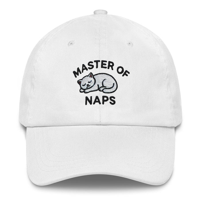 Embroidered Cat Hat Master of Naps Funny Humor Dad hat