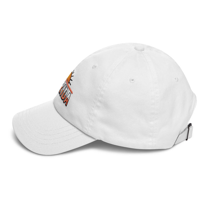 The Sunshine State Florida Dad Hat: Low-Profile, Embroidered, Adjustable Strap Vacation Hat Great Gift Idea