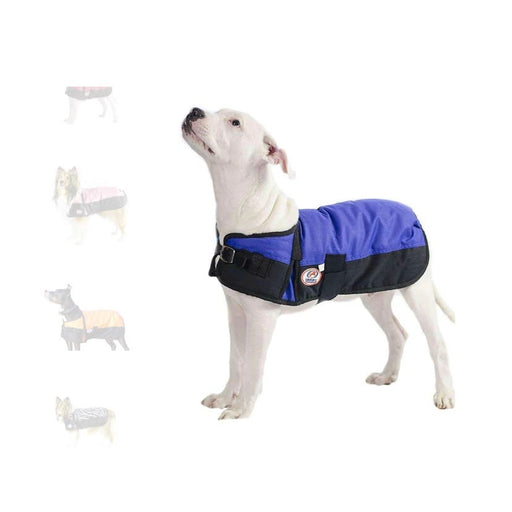 Derby Medium / Blue Derby Original Waterproof Dog Coat * Medium, Warm, Durable, Pet Appare