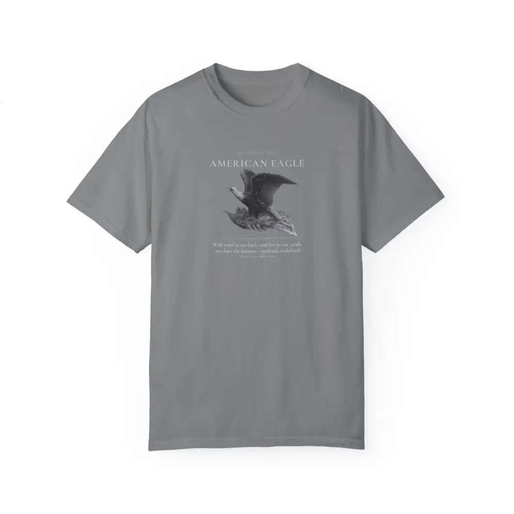 Gray American Eagle Heritage Series graphic tee with eagle print