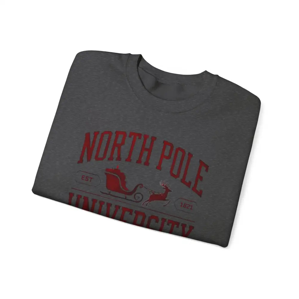 Folded dark gray North Pole University graphic t-shirt