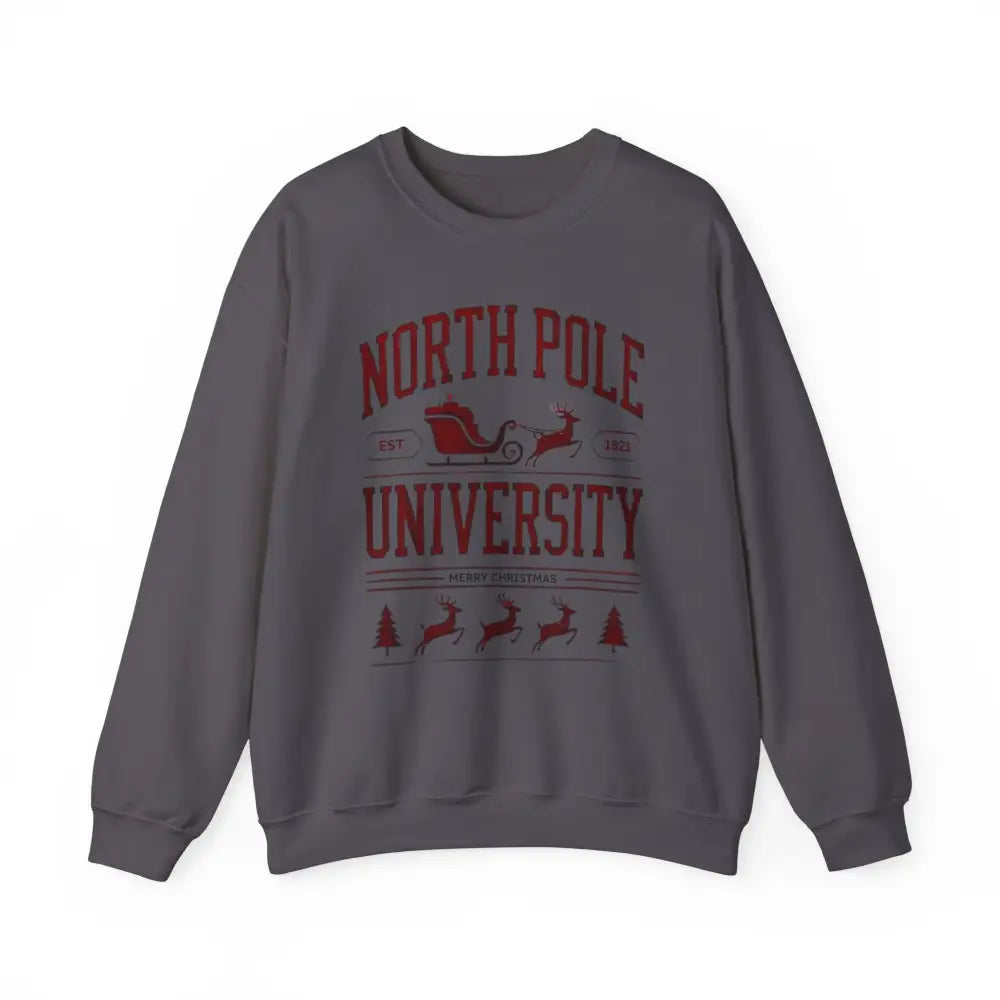 Dark gray North Pole University graphic sweatshirt