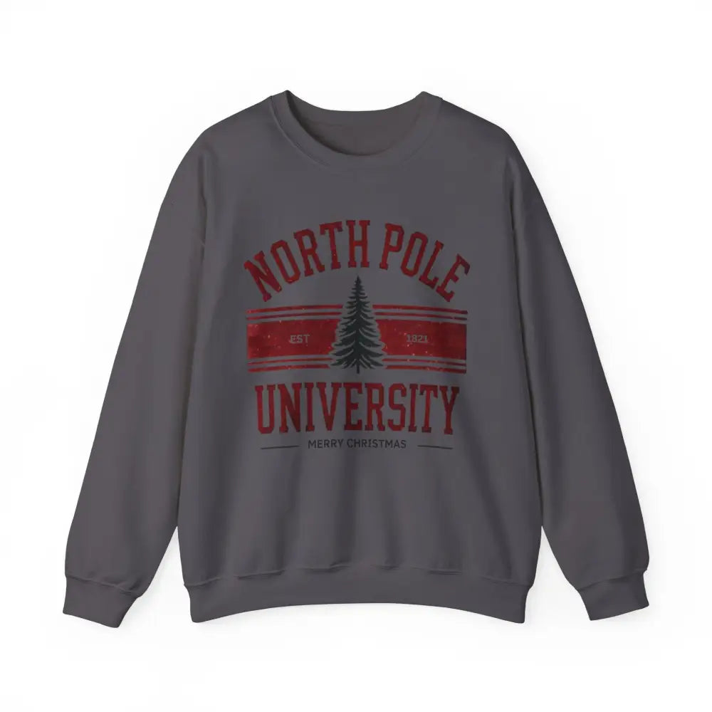 Dark gray North Pole University graphic varsity Christmas sweatshirt