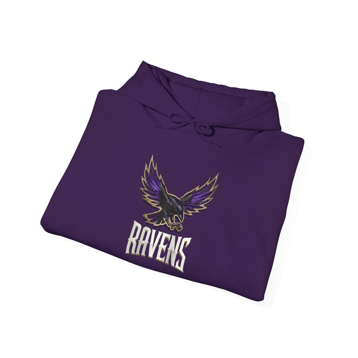 Printify Hoodie BALTIMORE  FLY Unisex Heavy Blend™ Hooded Sweatshirt