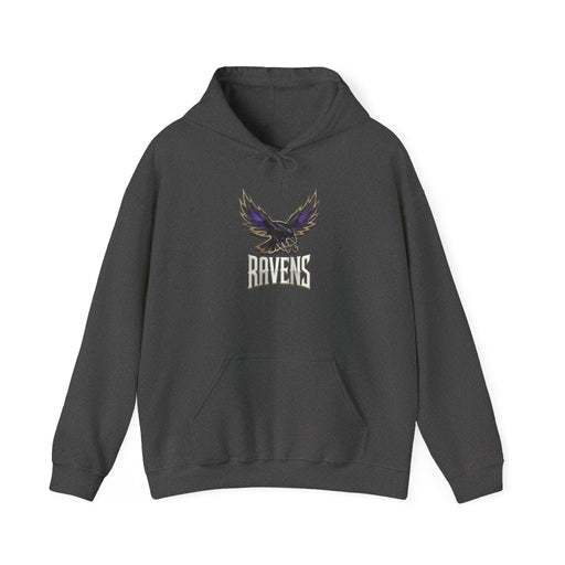 Printify Hoodie S / Dark Heather BALTIMORE  FLY Unisex Heavy Blend™ Hooded Sweatshirt