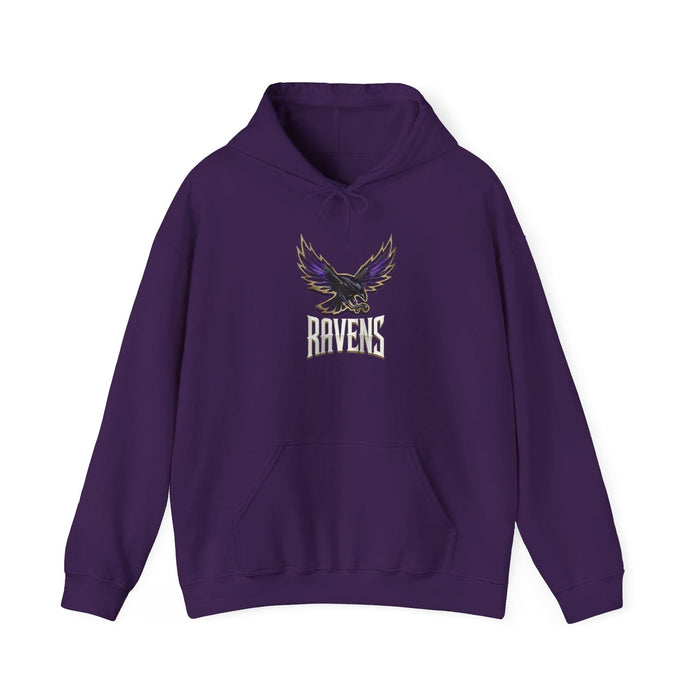 Printify Hoodie S / Purple BALTIMORE  FLY Unisex Heavy Blend™ Hooded Sweatshirt