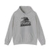 Printify Hoodie S / Sport Grey BALTIMORE Unisex Heavy Blend™ Hooded Sweatshirt