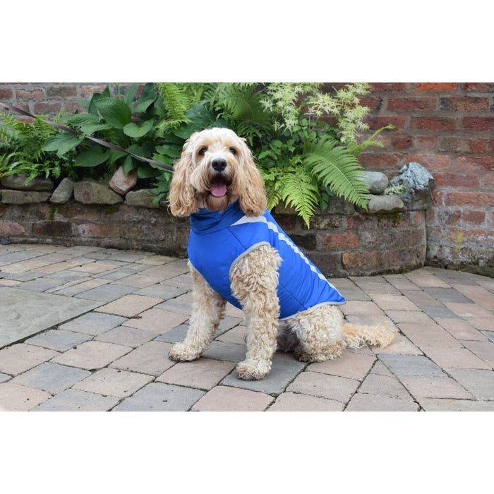 Pssopp Large / Blue Reflective Insulated Stripe Dog Coat * Waterproof Puppy Clothes, Size Large"