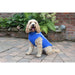 Pssopp Large / Blue Reflective Insulated Stripe Dog Coat * Waterproof Puppy Clothes, Size Large"