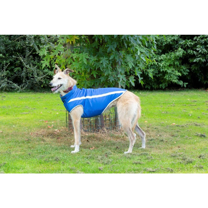 Pssopp Large / Blue Reflective Insulated Stripe Dog Coat * Waterproof Puppy Clothes, Size Large"