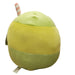 Squishmallow Squishmallow 11 12" Jean Apple Juice Box Soft Green Sweet Fruit Drink Plush NWT