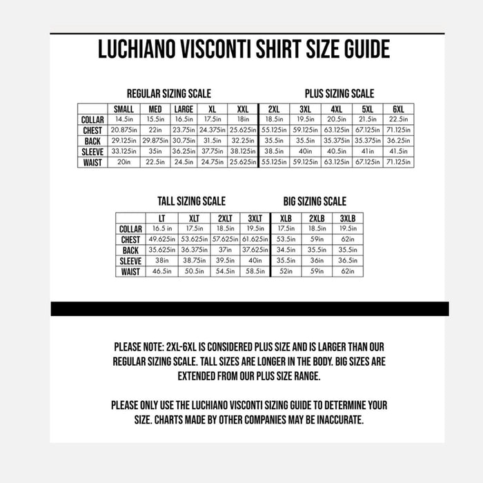 Luchiano Visconti Paisley Button Down Men's Shirt 4877, Multi, Medium * men954