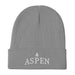 Triniskies Gray Aspen Skiing Embroidered Beanie Winter Hat. Cozy Cotton Blend