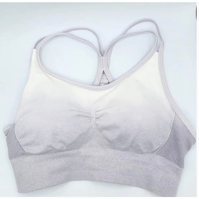 Velocity Lavender / Large Velocity Lavender Ombre Sports Bra - Size L * wom321